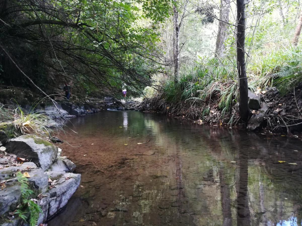 Quinta Da Portelada Peso da Régua Εξωτερικό φωτογραφία
