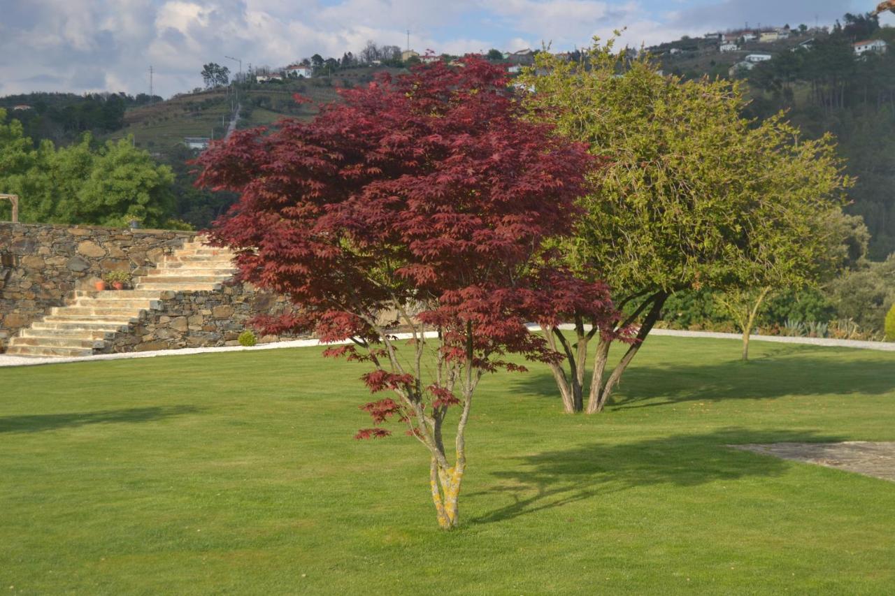 Quinta Da Portelada Peso da Régua Εξωτερικό φωτογραφία