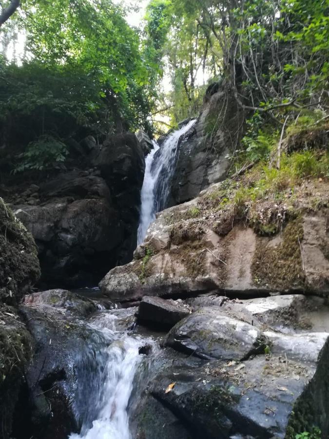 Quinta Da Portelada Peso da Régua Εξωτερικό φωτογραφία