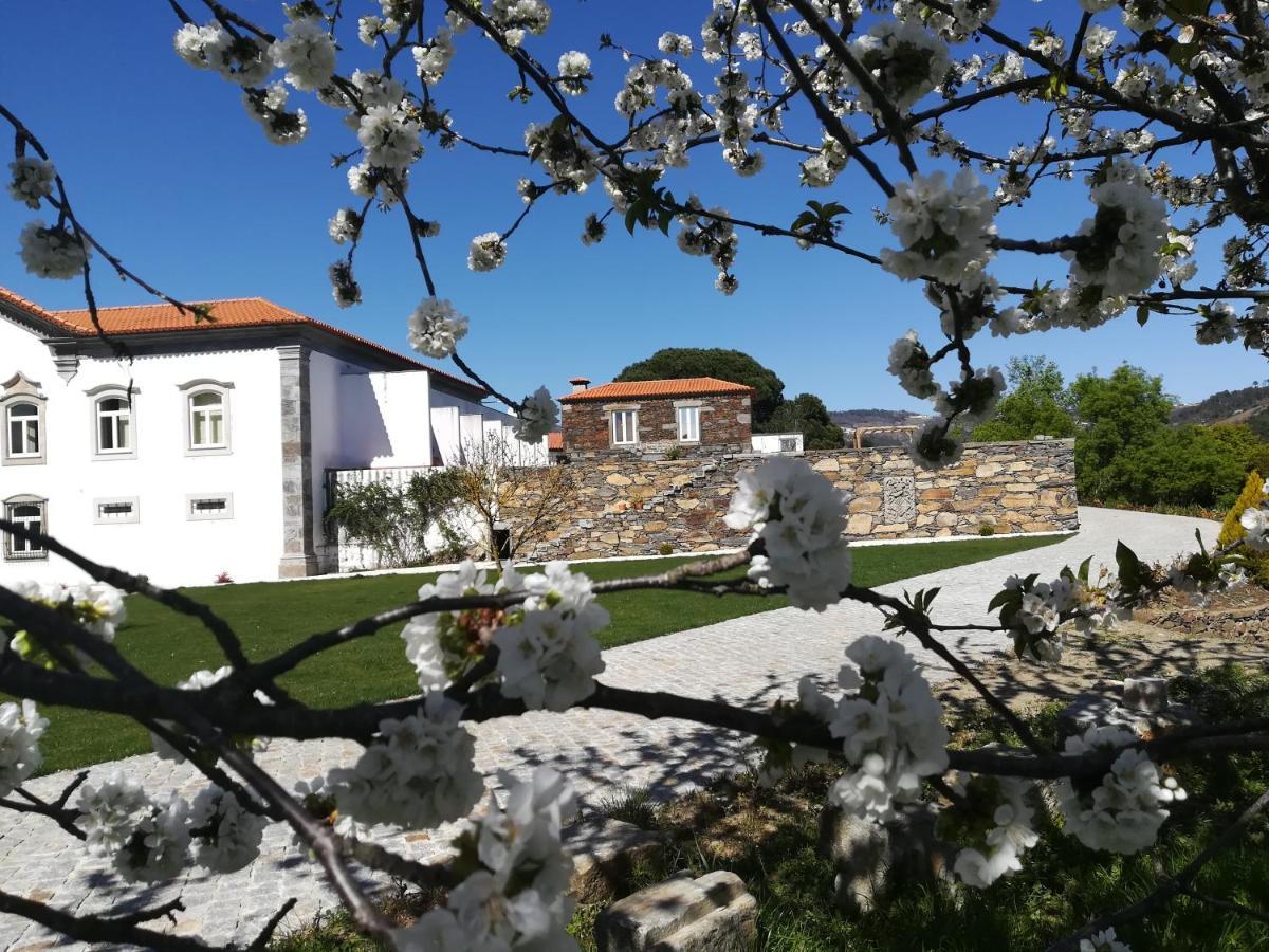 Quinta Da Portelada Peso da Régua Εξωτερικό φωτογραφία