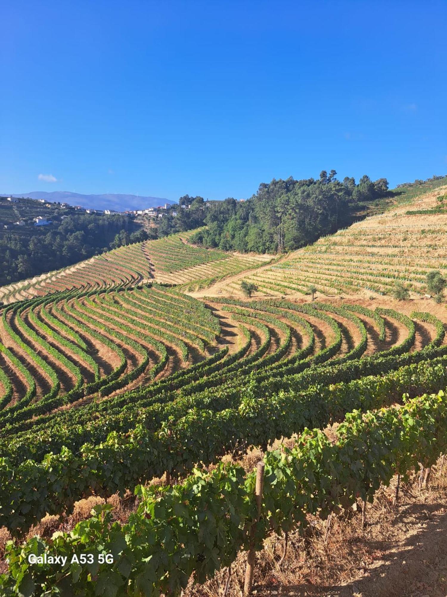 Quinta Da Portelada Peso da Régua Εξωτερικό φωτογραφία