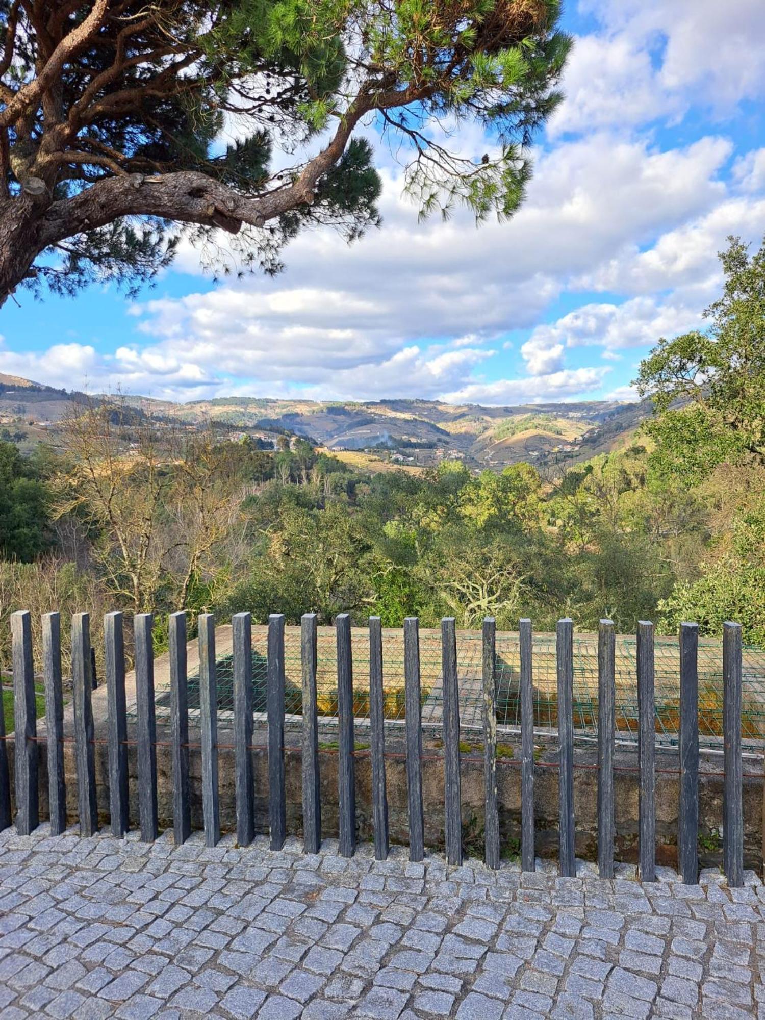 Quinta Da Portelada Peso da Régua Εξωτερικό φωτογραφία