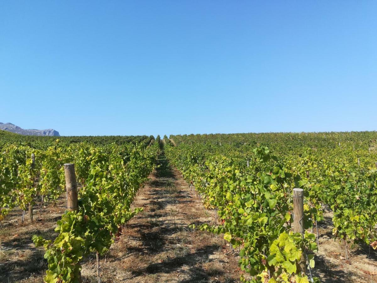 Quinta Da Portelada Peso da Régua Εξωτερικό φωτογραφία